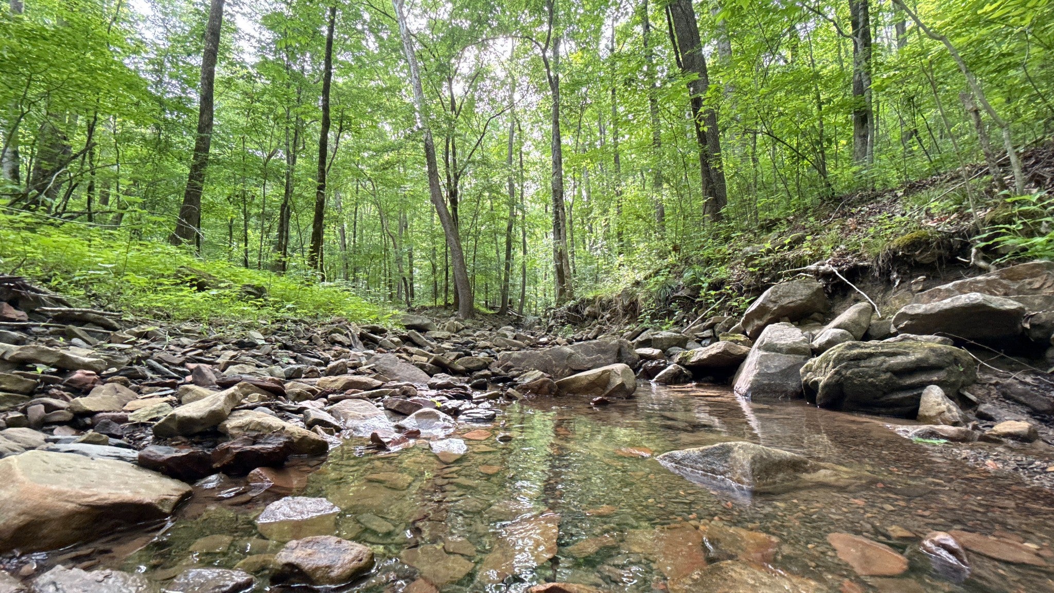0 Murphy Hollow Rd