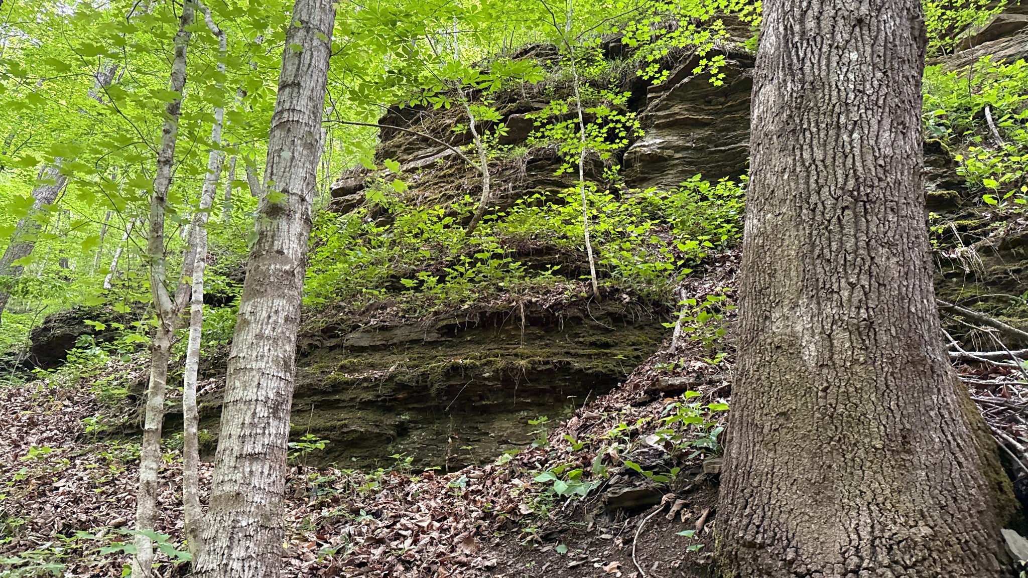 0 Murphy Hollow Rd
