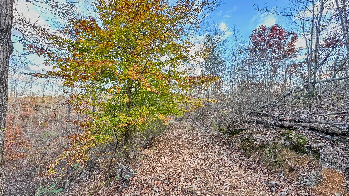 0 Lick Creek Road
