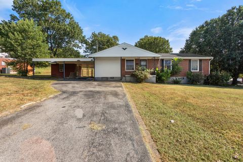 702 1st Ave Mount Pleasant TN 38474