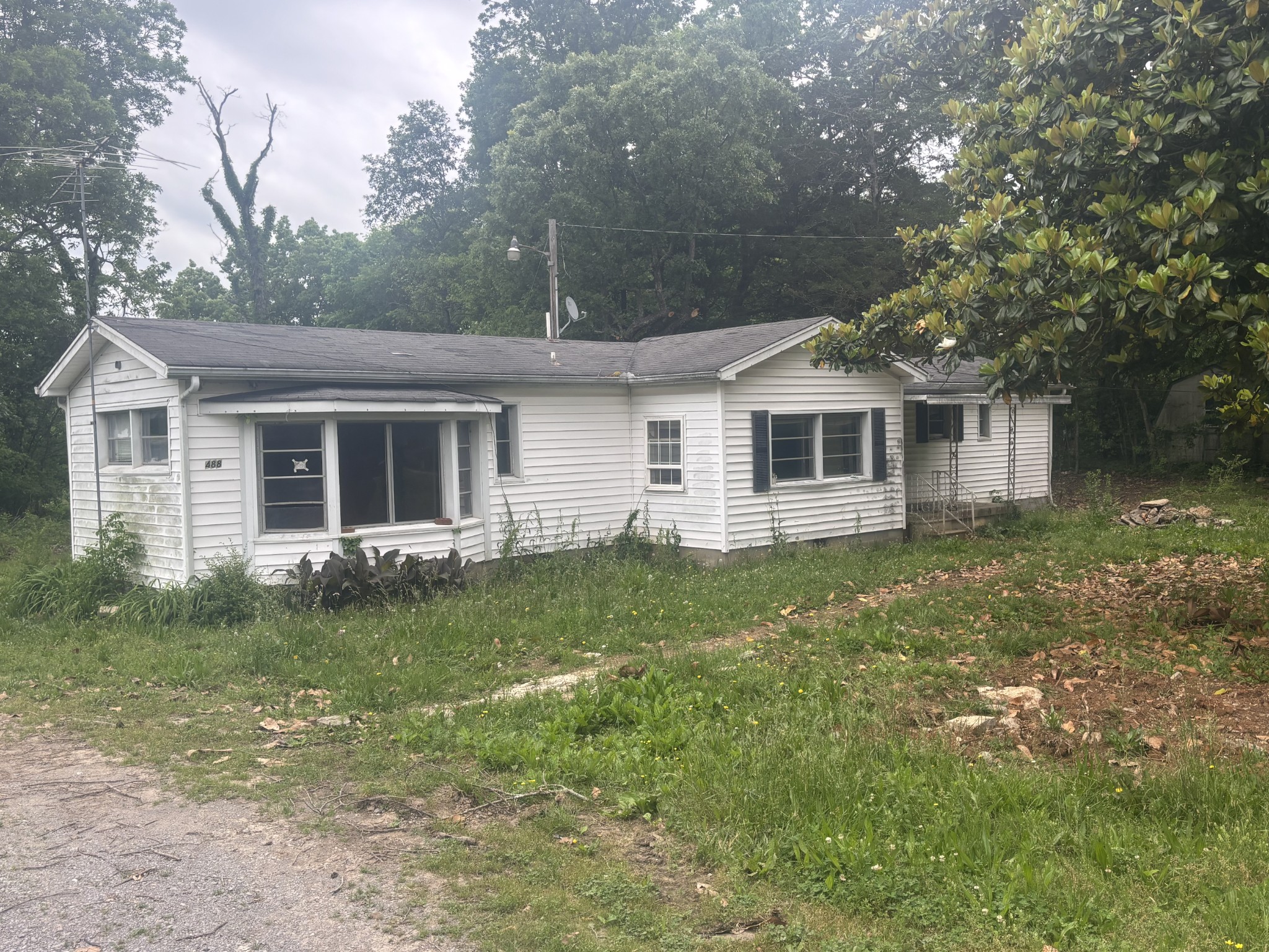 Listing image 6