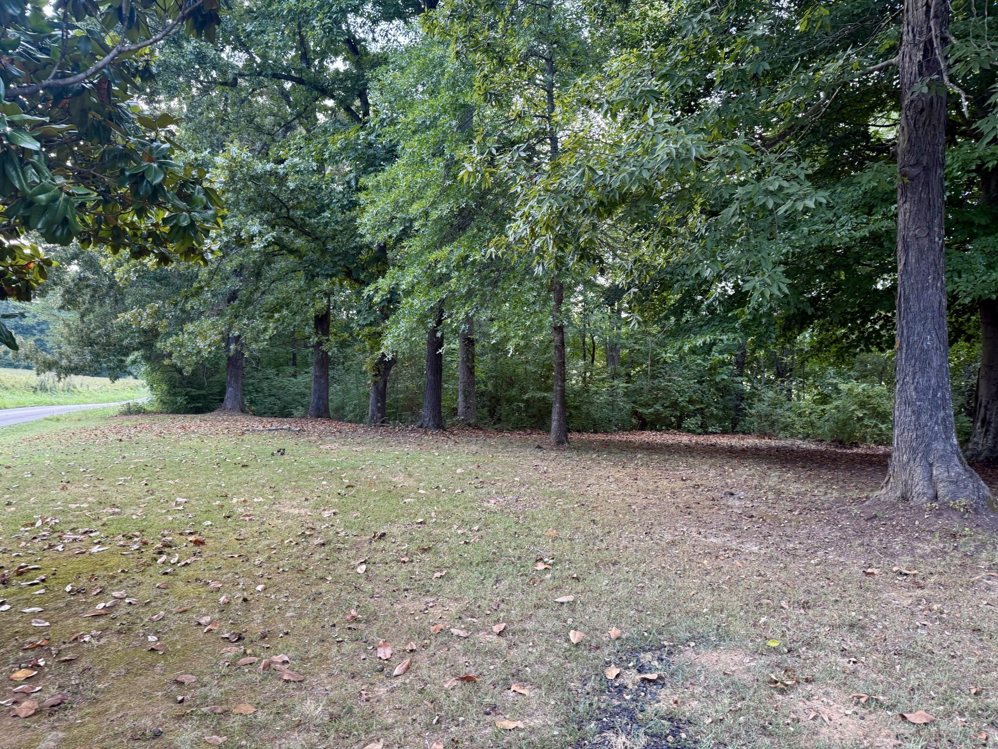 255 County Road 460