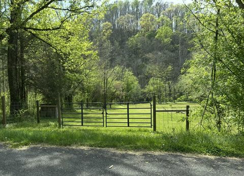 Photo of 6002 Wet Mill Creek Rd, Celina, TN 38551 (MLS # 3173110)