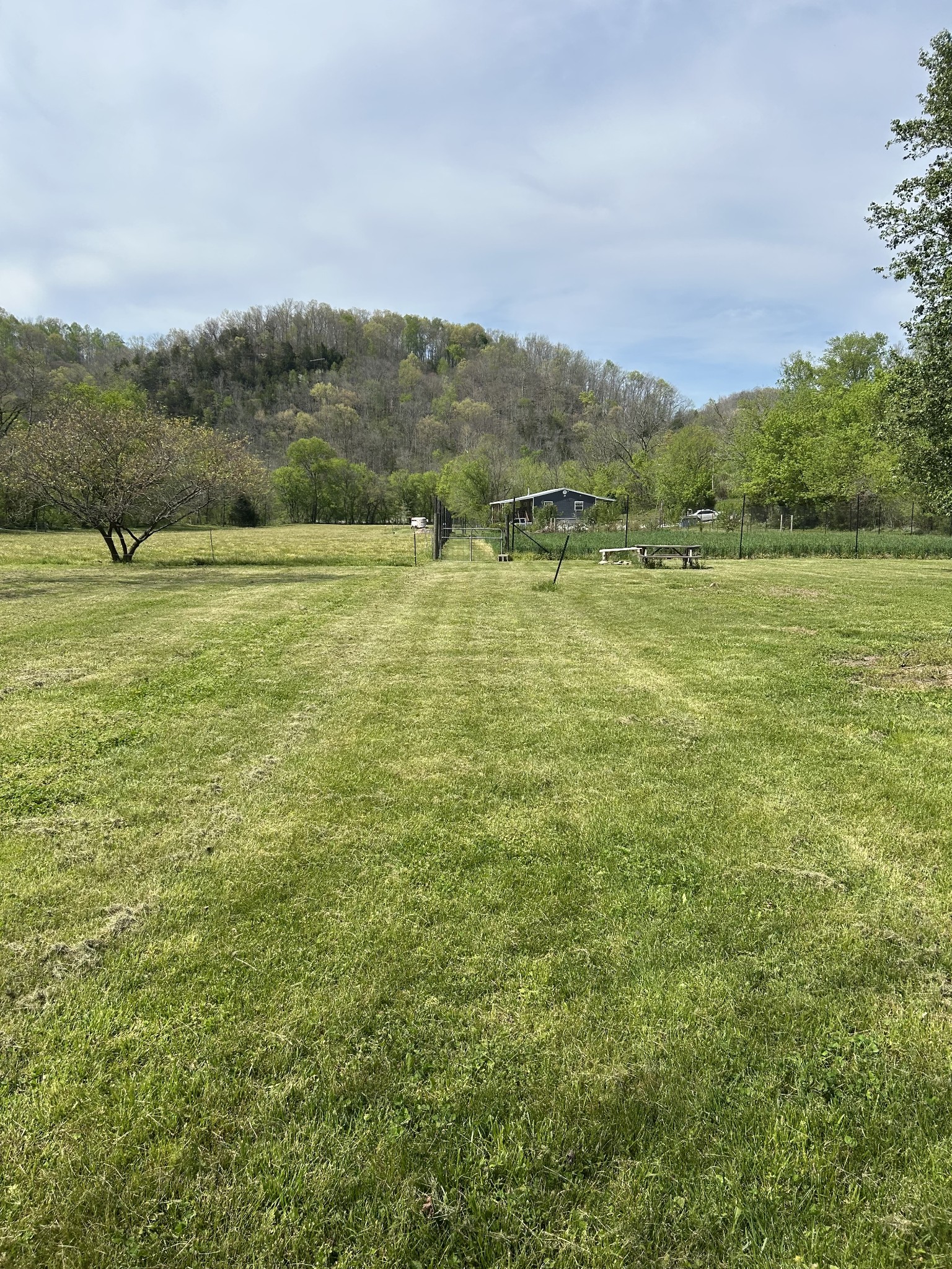 6002 Wet Mill Creek Rd