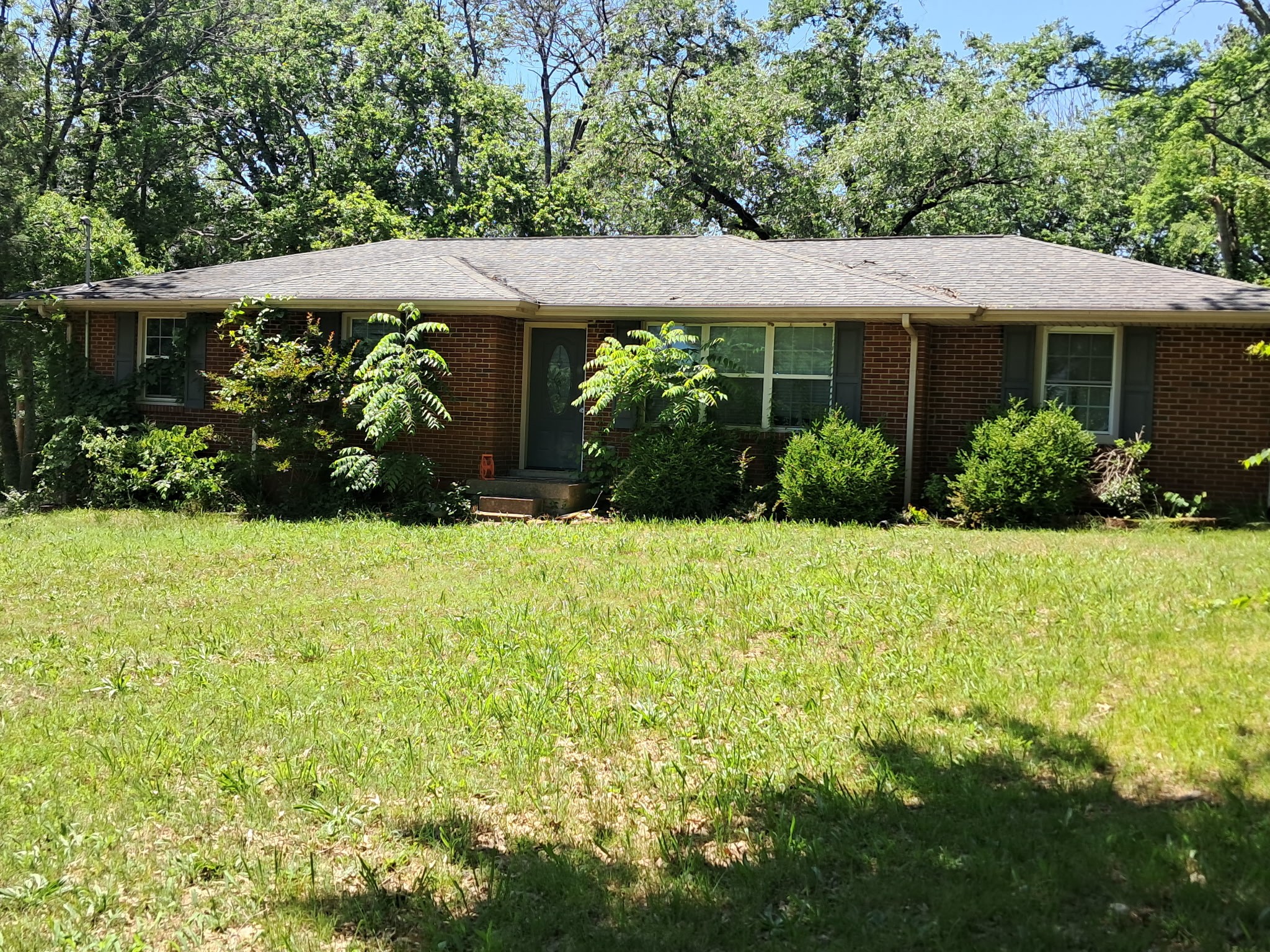 Listing image 5