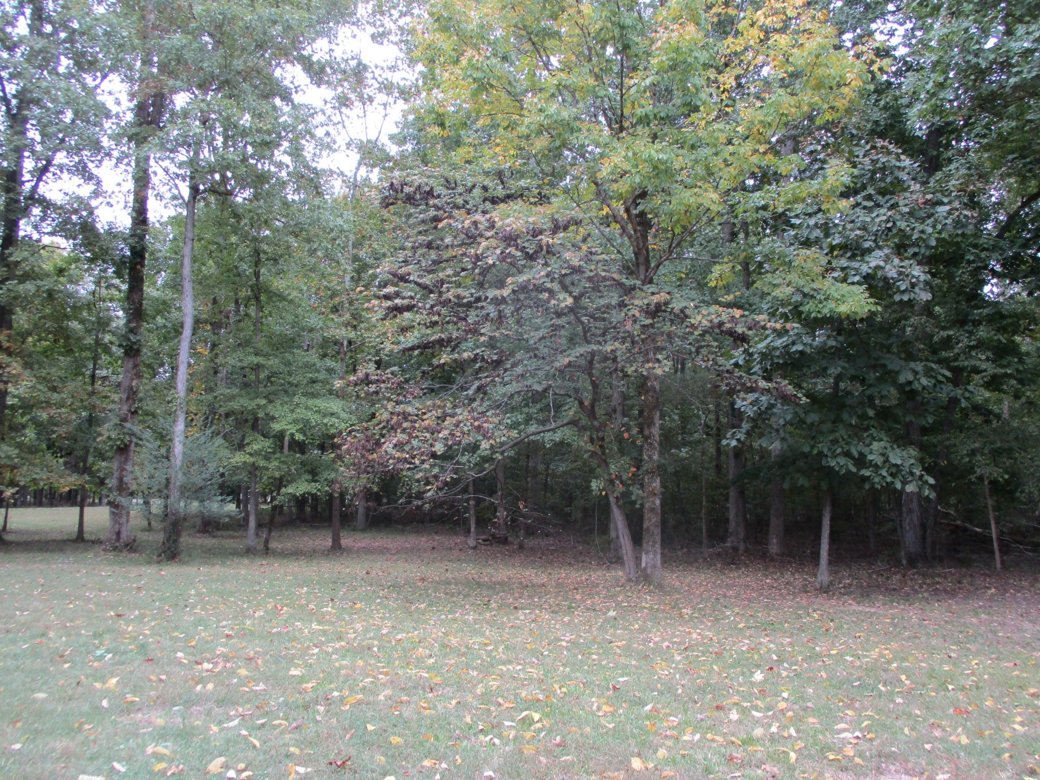780 Shipper Rd