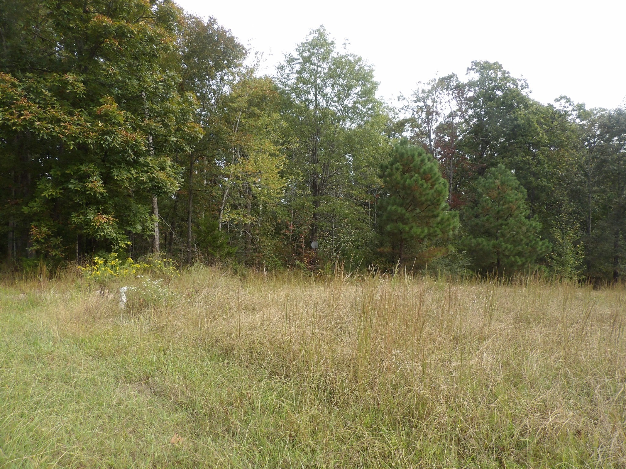 112 Oak Ridge Dr