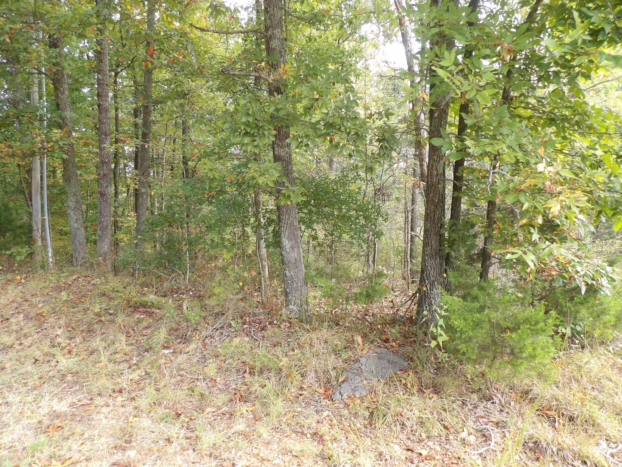 112 Oak Ridge Dr