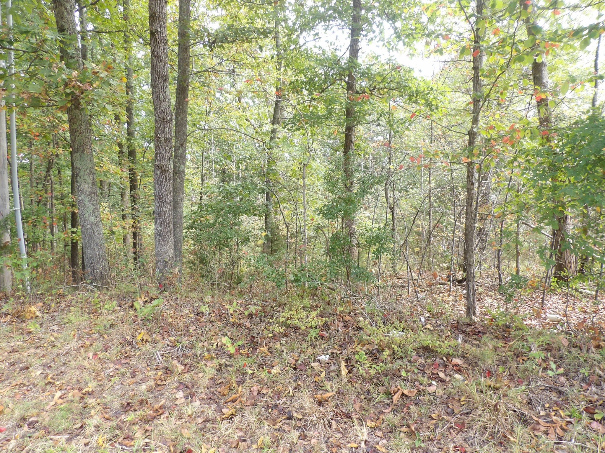 112 Oak Ridge Dr