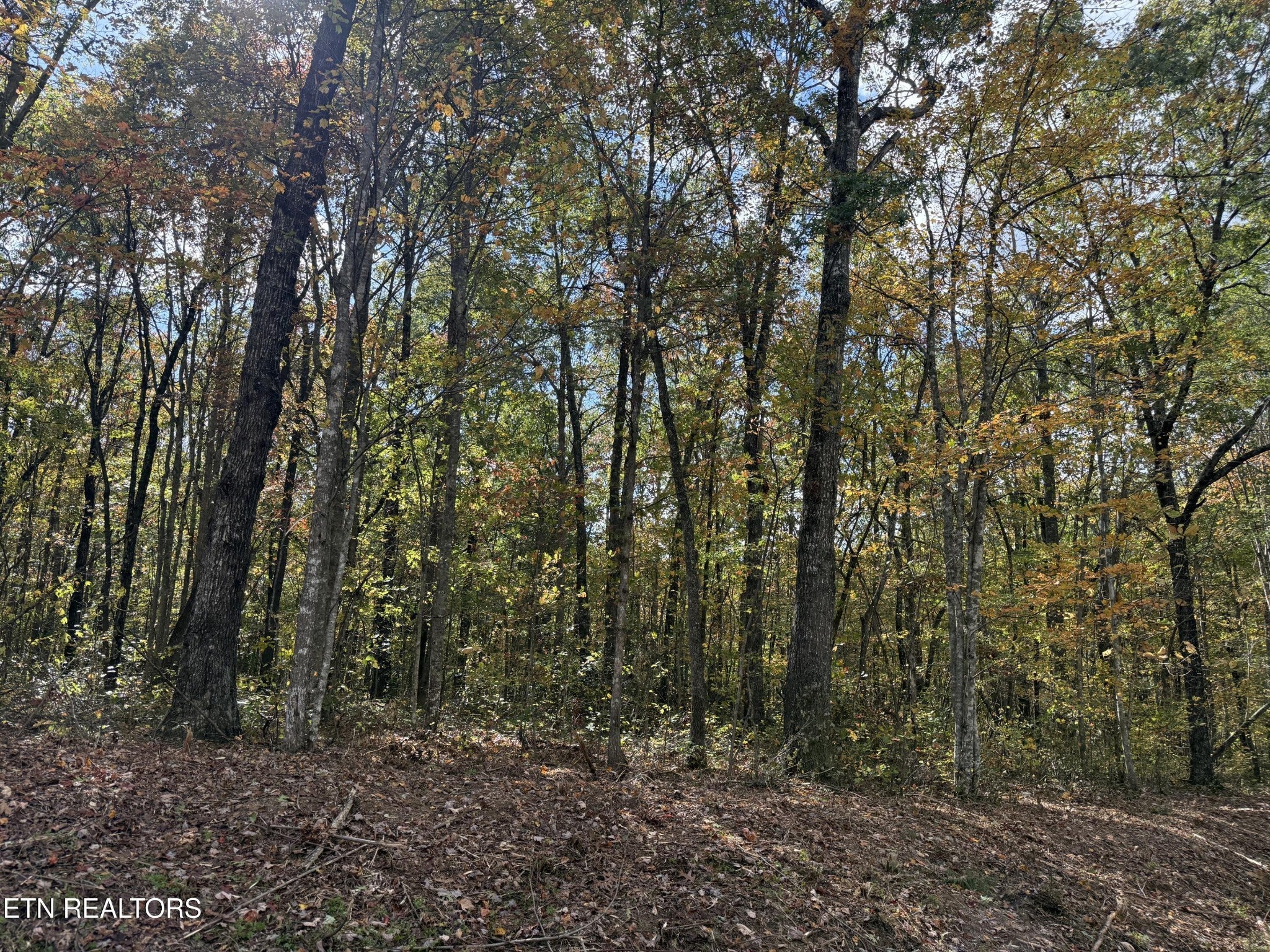 0 Picket Park Hwy