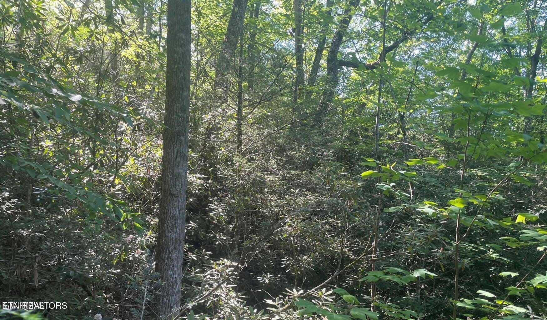 70 Hazelnut Lane