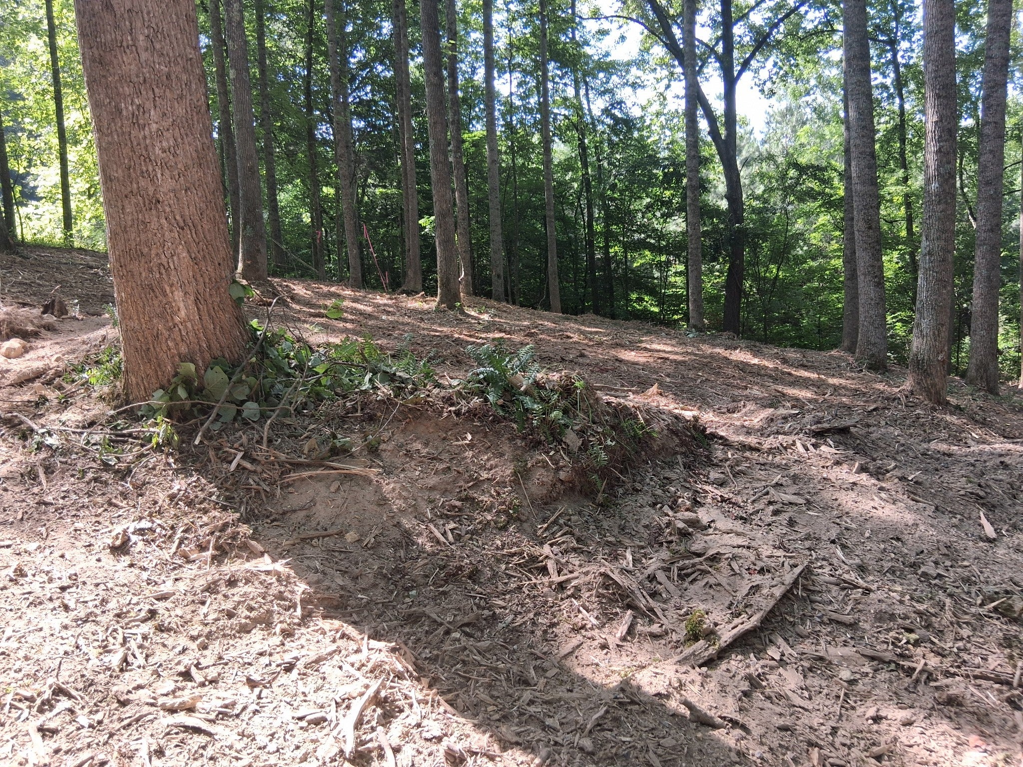 745 October Drive - Photo 4