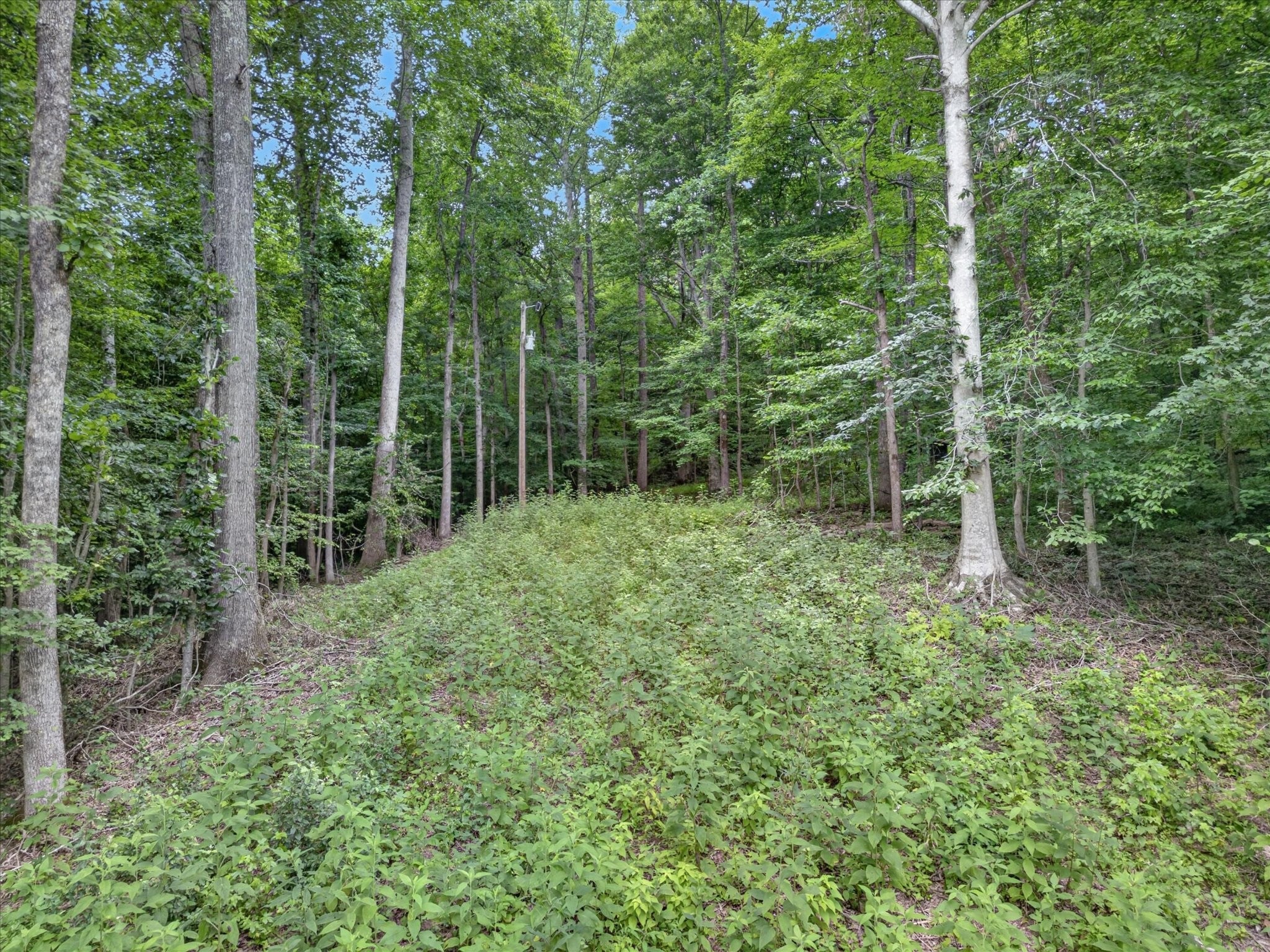 737 Lee Hollow Rd
