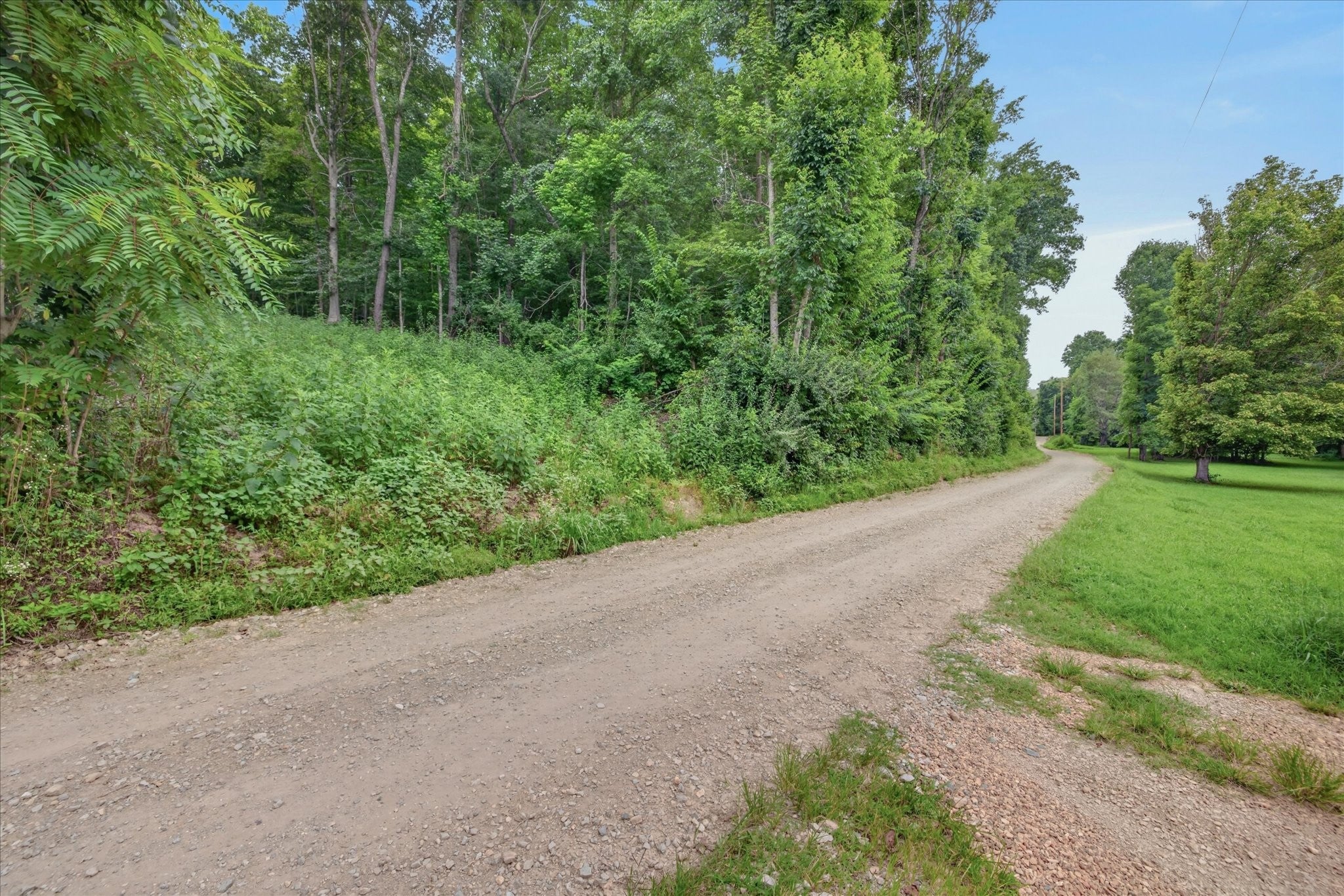 737 Lee Hollow Rd