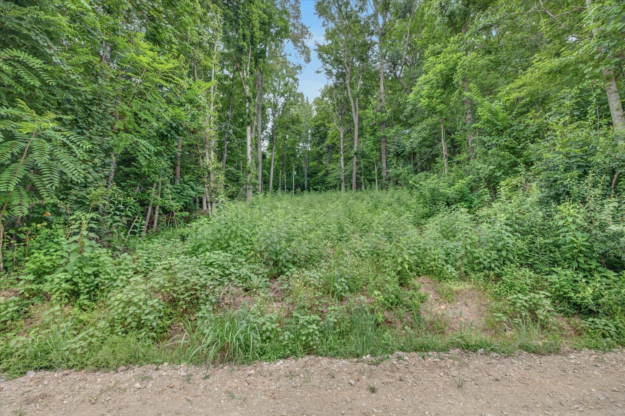 737 Lee Hollow Rd