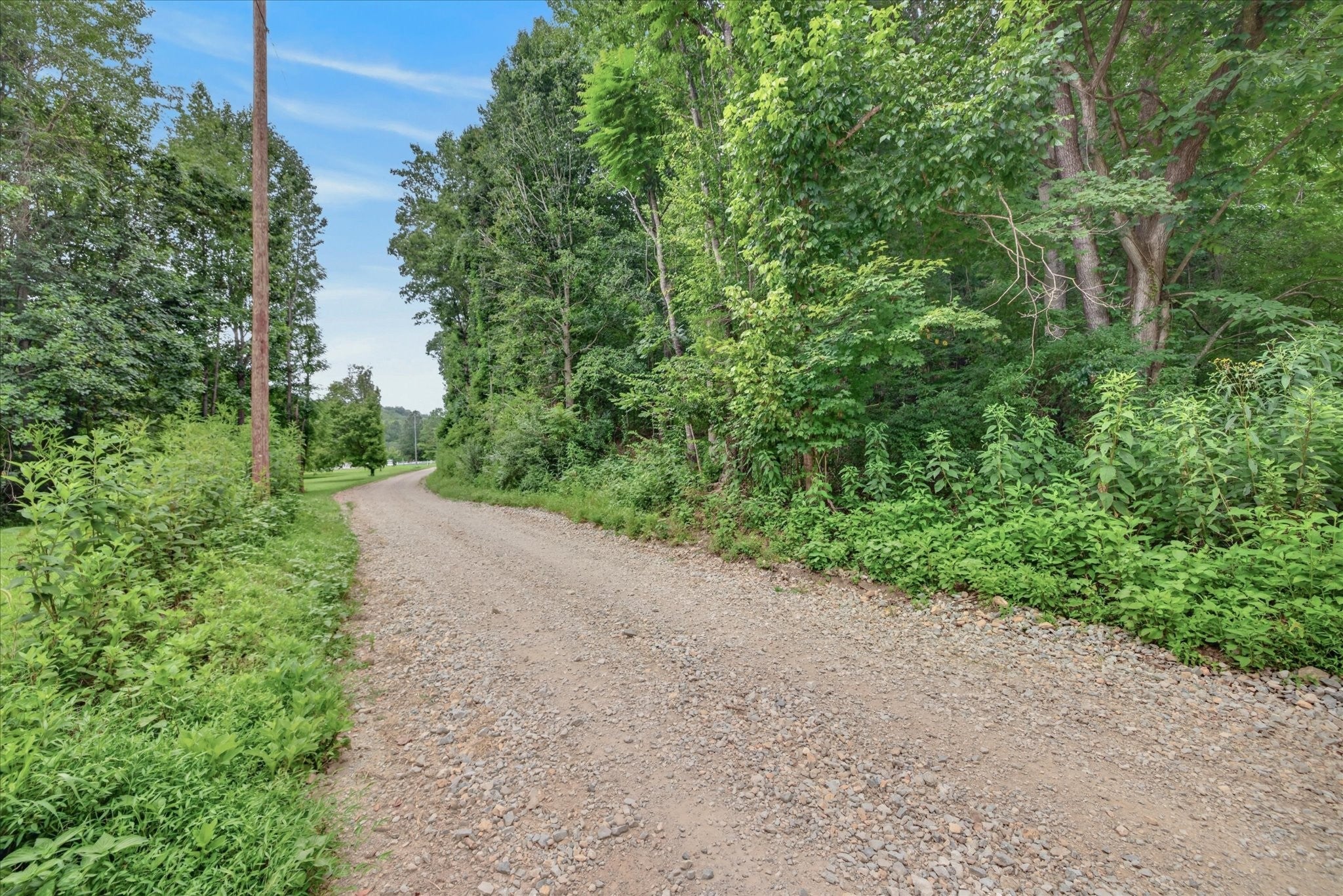 737 Lee Hollow Rd