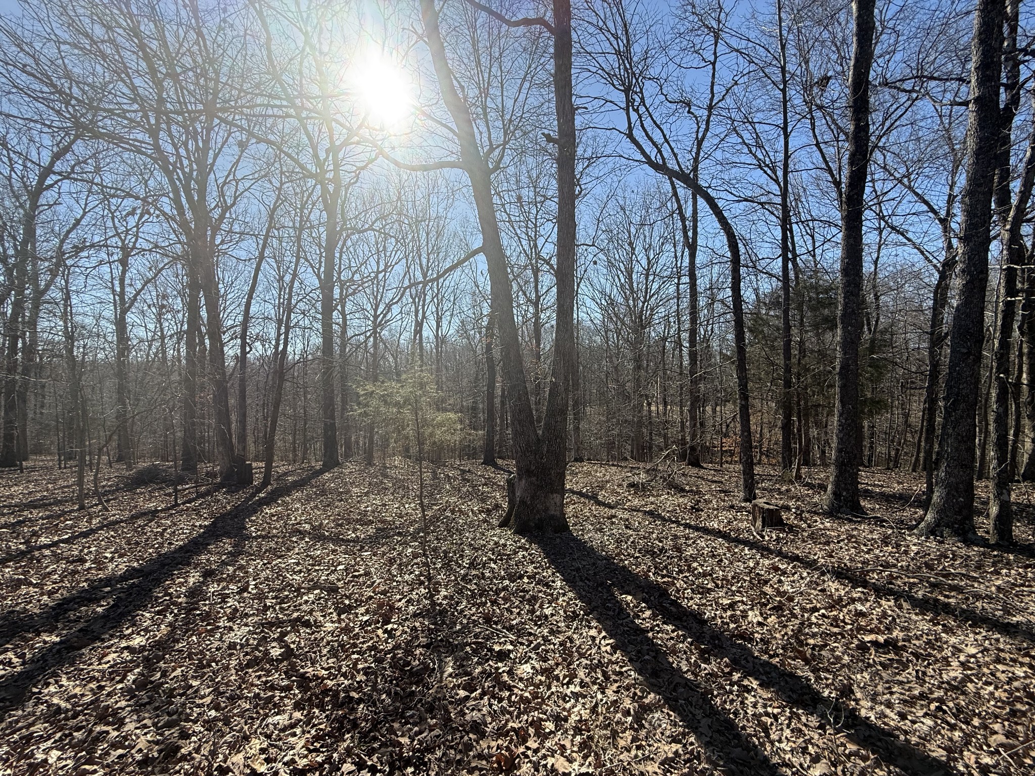 30 Backwoods Estates