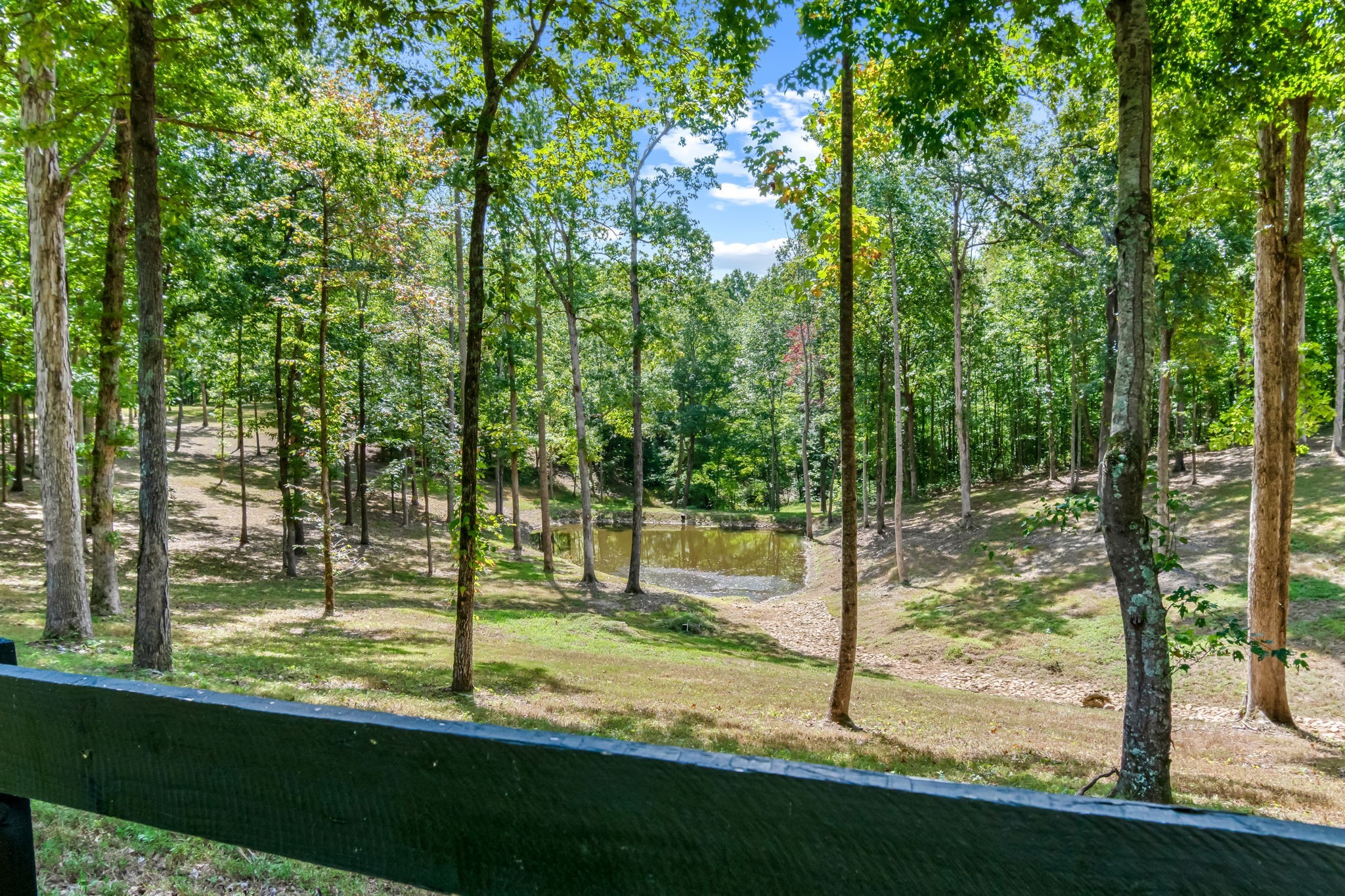 6011 Garrison Springs Rd, Franklin TN 37064 5-bed home, photo 12 of 30