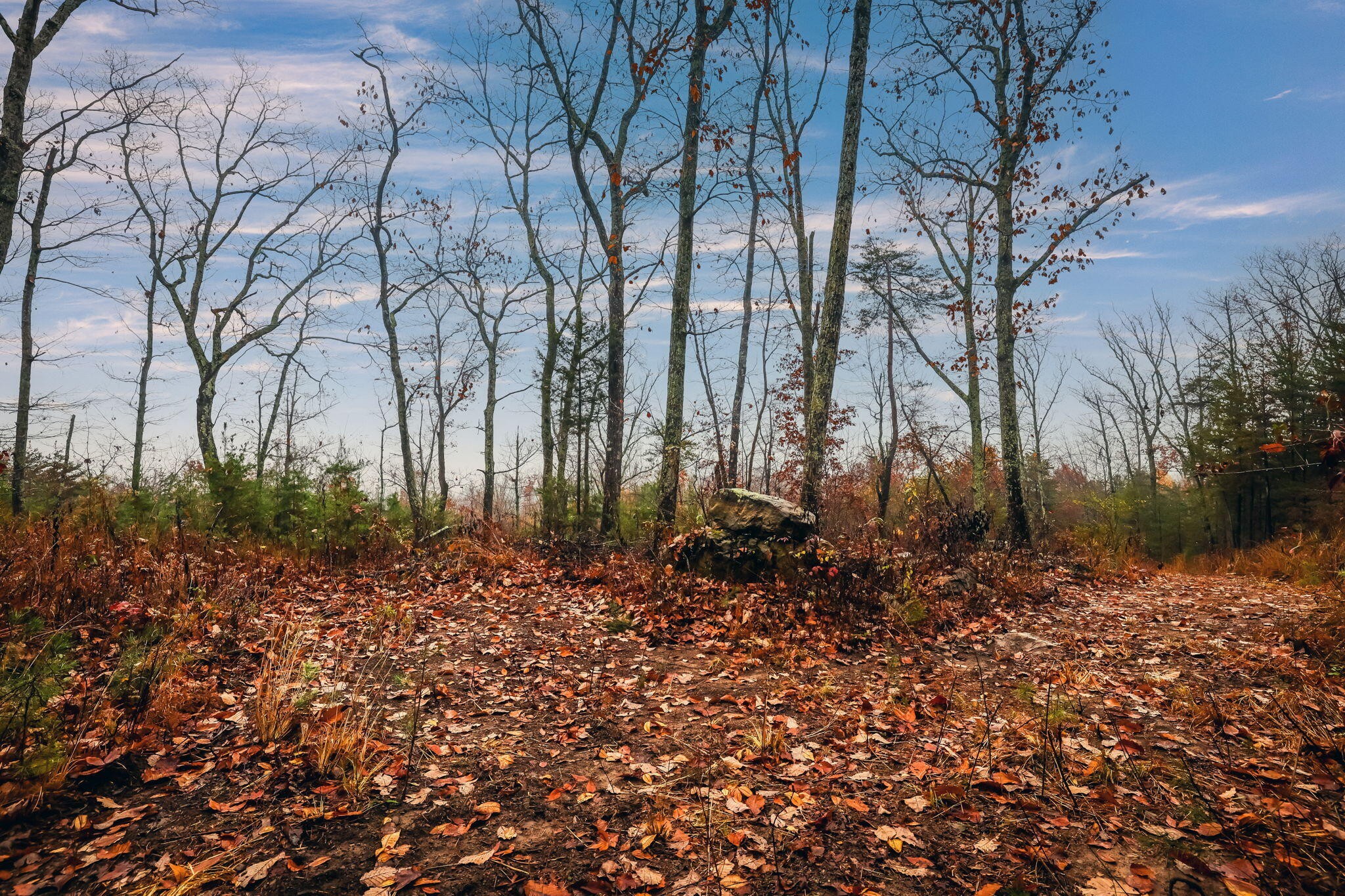 8037 Rocky Ledge Drive