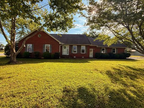 4615 Airport Rd Springfield TN 37172