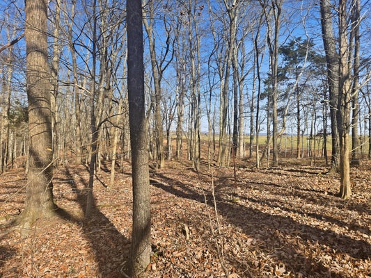 BUCKEYE RD, CUMBERLAND CITY, TN 37050 - Image 05fbb5dea7d74c0eeba9f8de27a06aba/447965905