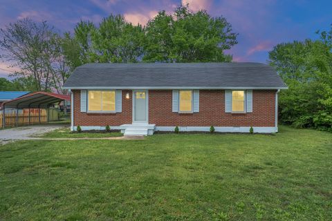 305 Thomas Ave Hohenwald TN 38462