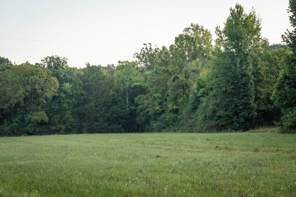CHOCTAW RD, COLLEGE GROVE, TN 37046 - Image 061a40a1c0a0eafb2cac42663fe8f2a3/3808435265