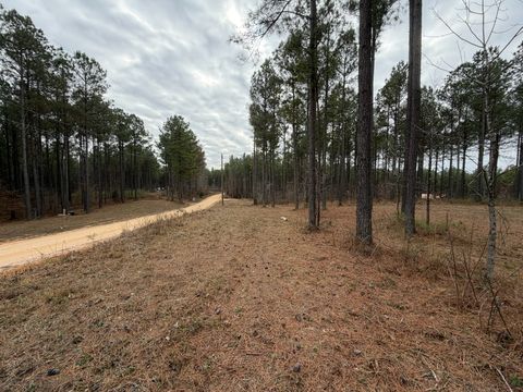 2A Bartlett Rd Reagan TN 38368