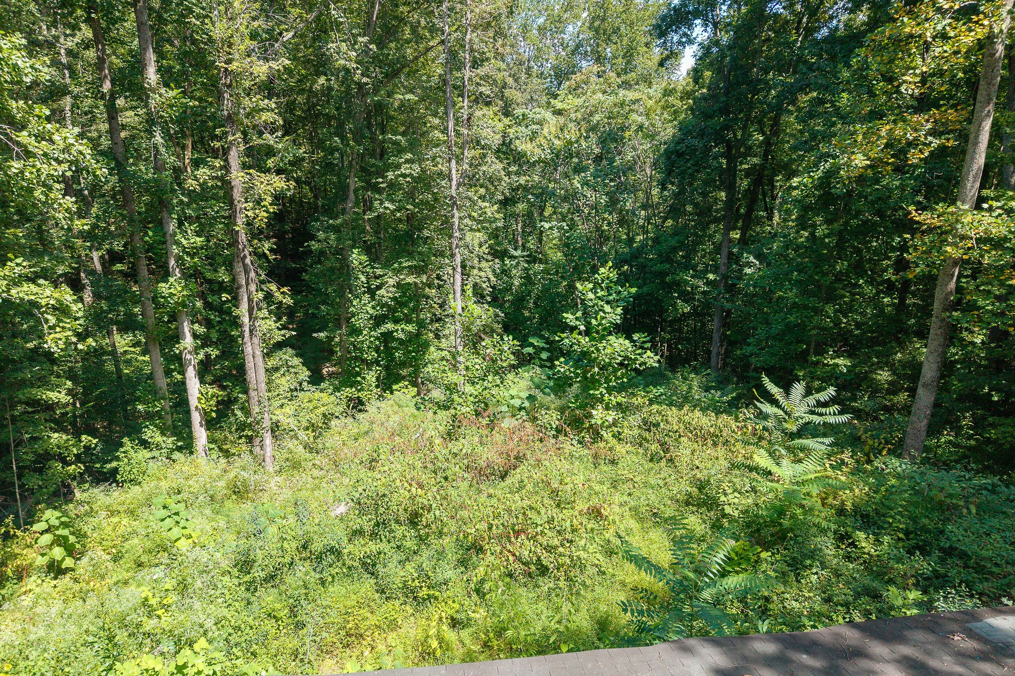 276 Mountain View Dr