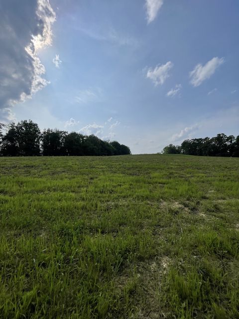 8 Annie hollow road Westmoreland TN 37186