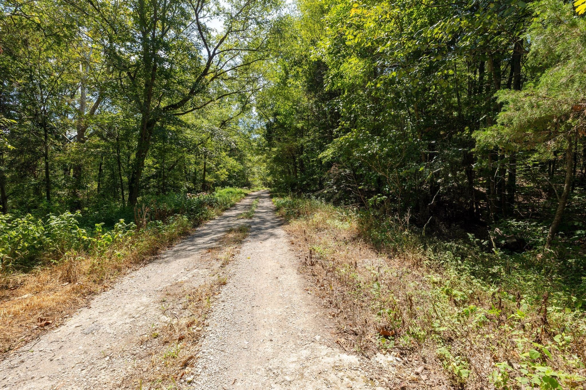 0 Shapiro Trail