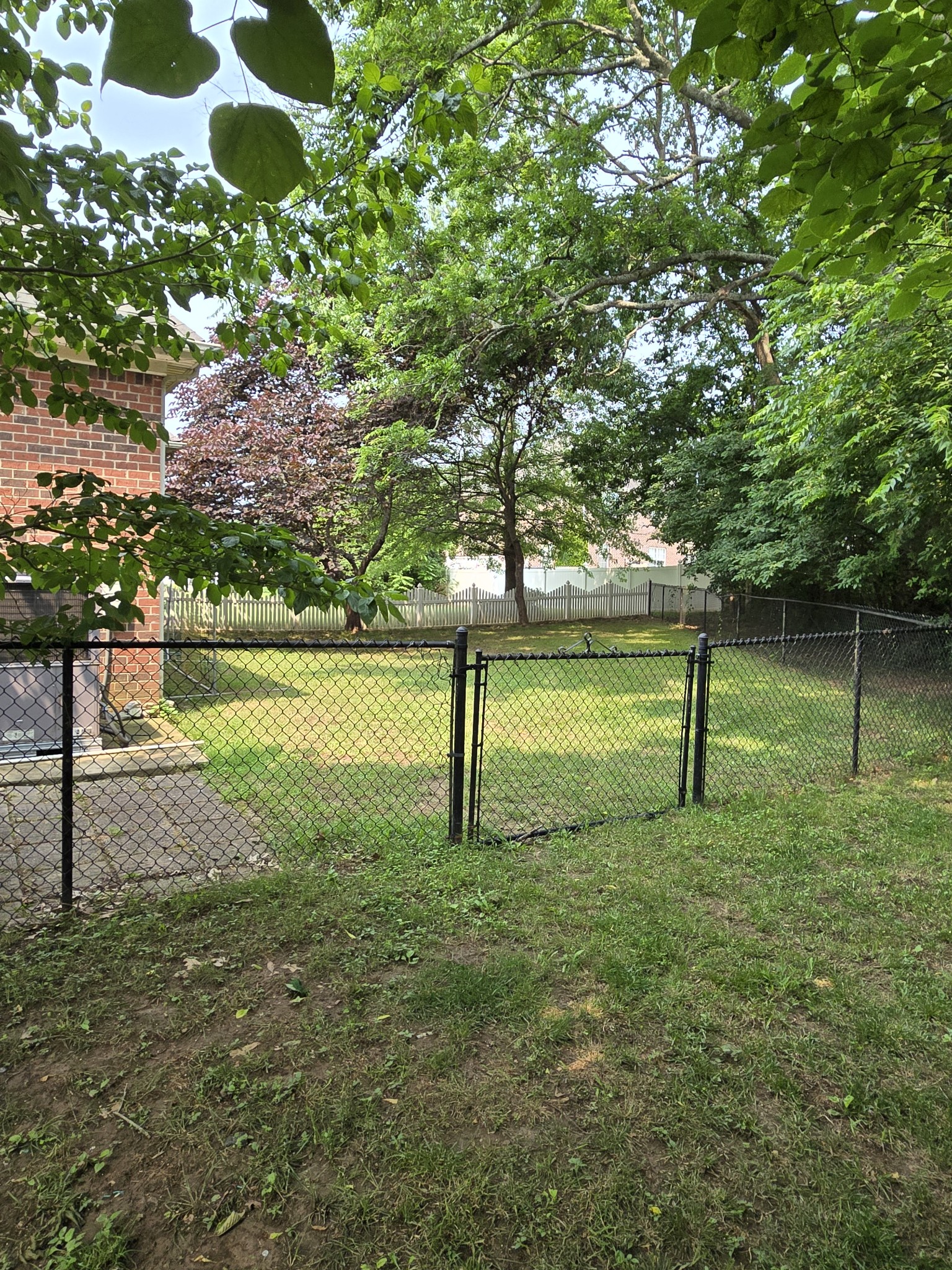 211 Mercedes Dr