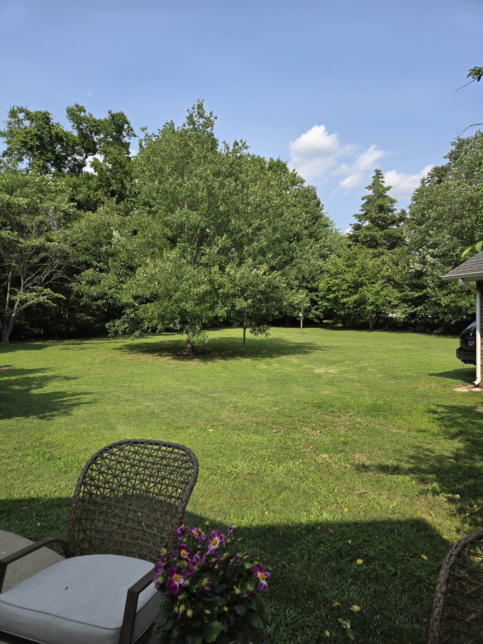 211 Mercedes Dr