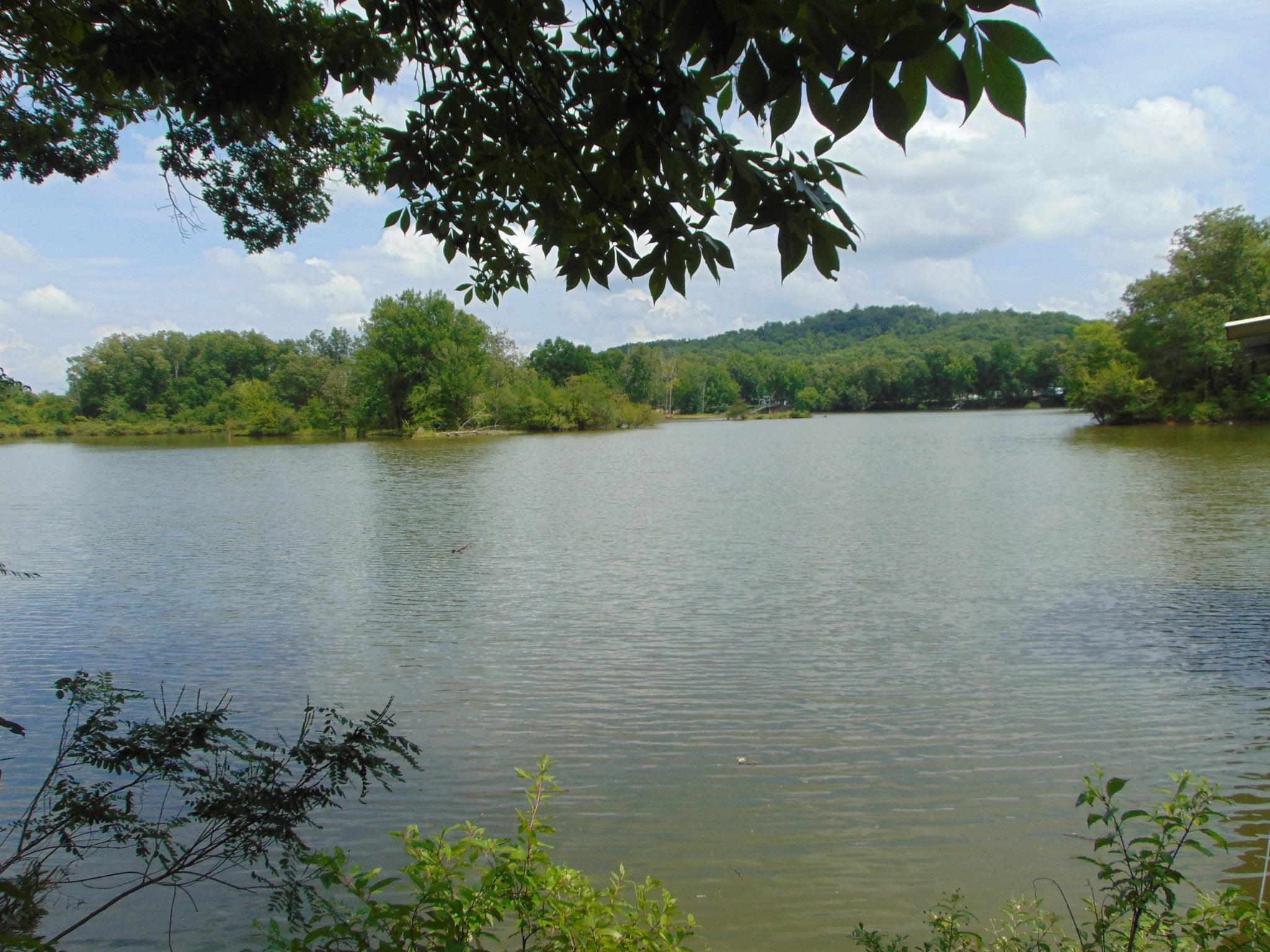 2991 Beech Creek Loop