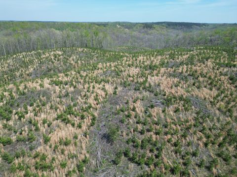 0C Waynesboro HWY Waynesboro TN 38485