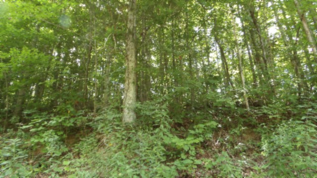 4364 Livingston Hwy