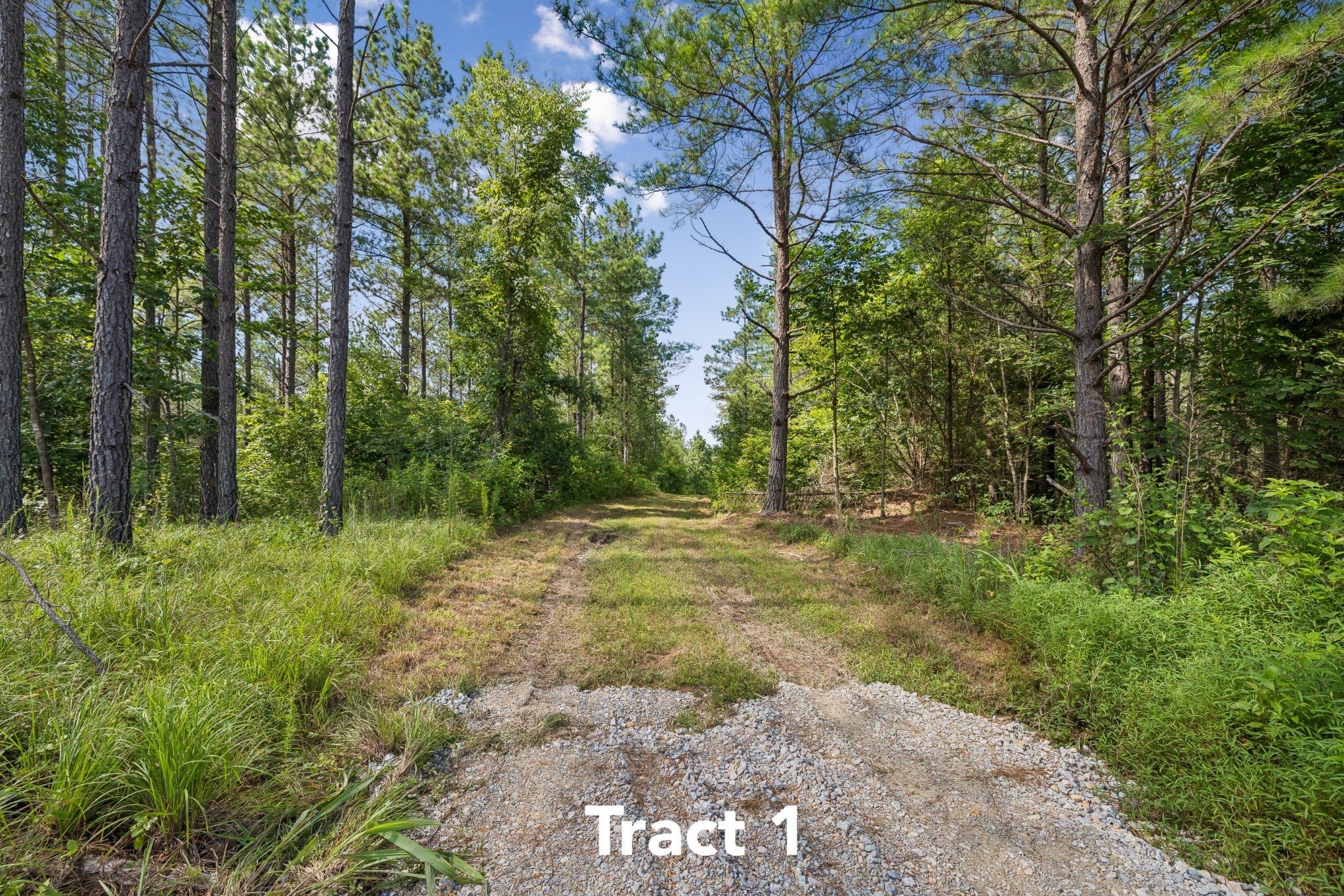 1420 Big Swan Creek Rd