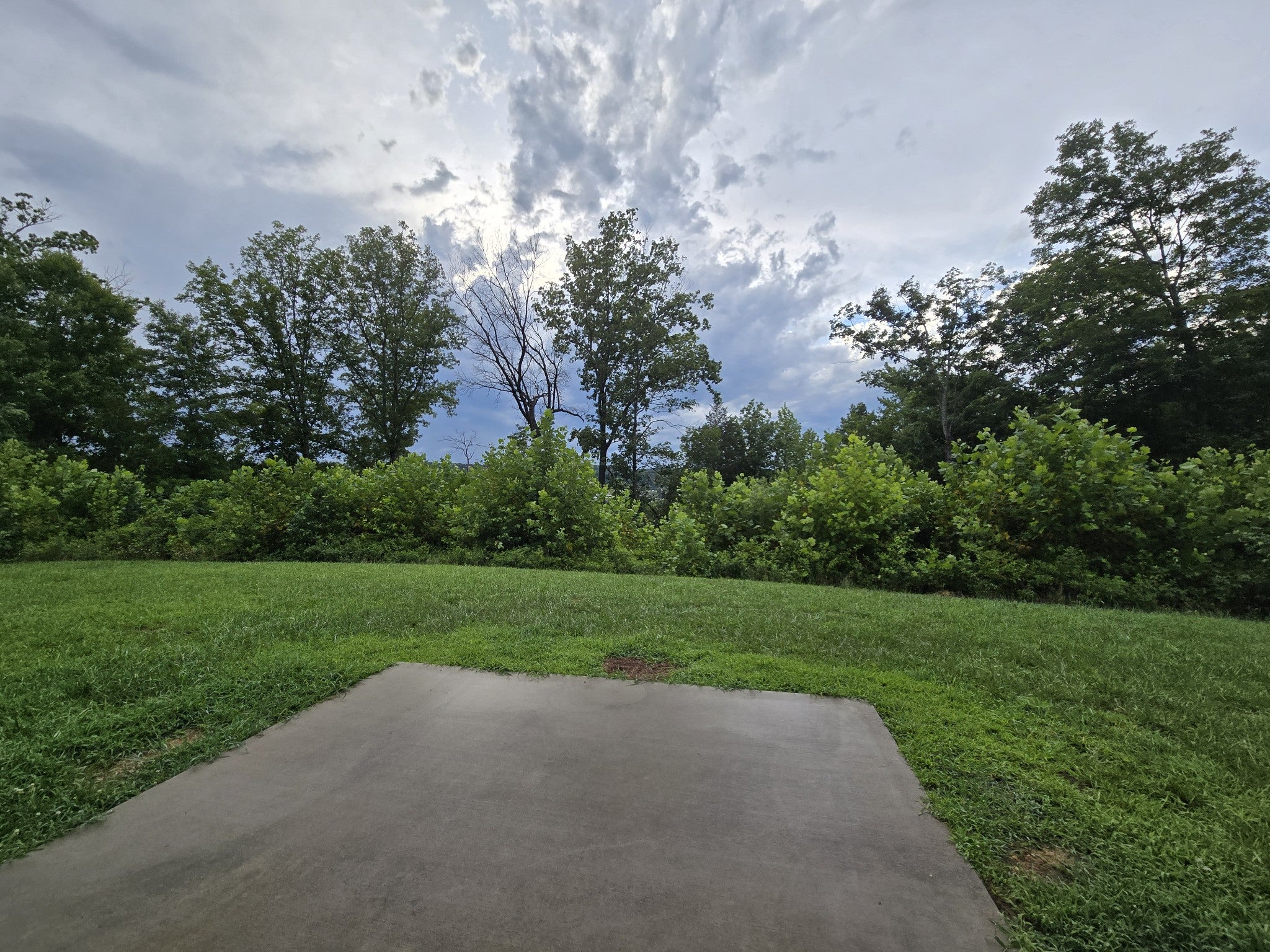 1176 Cottonwood Dr