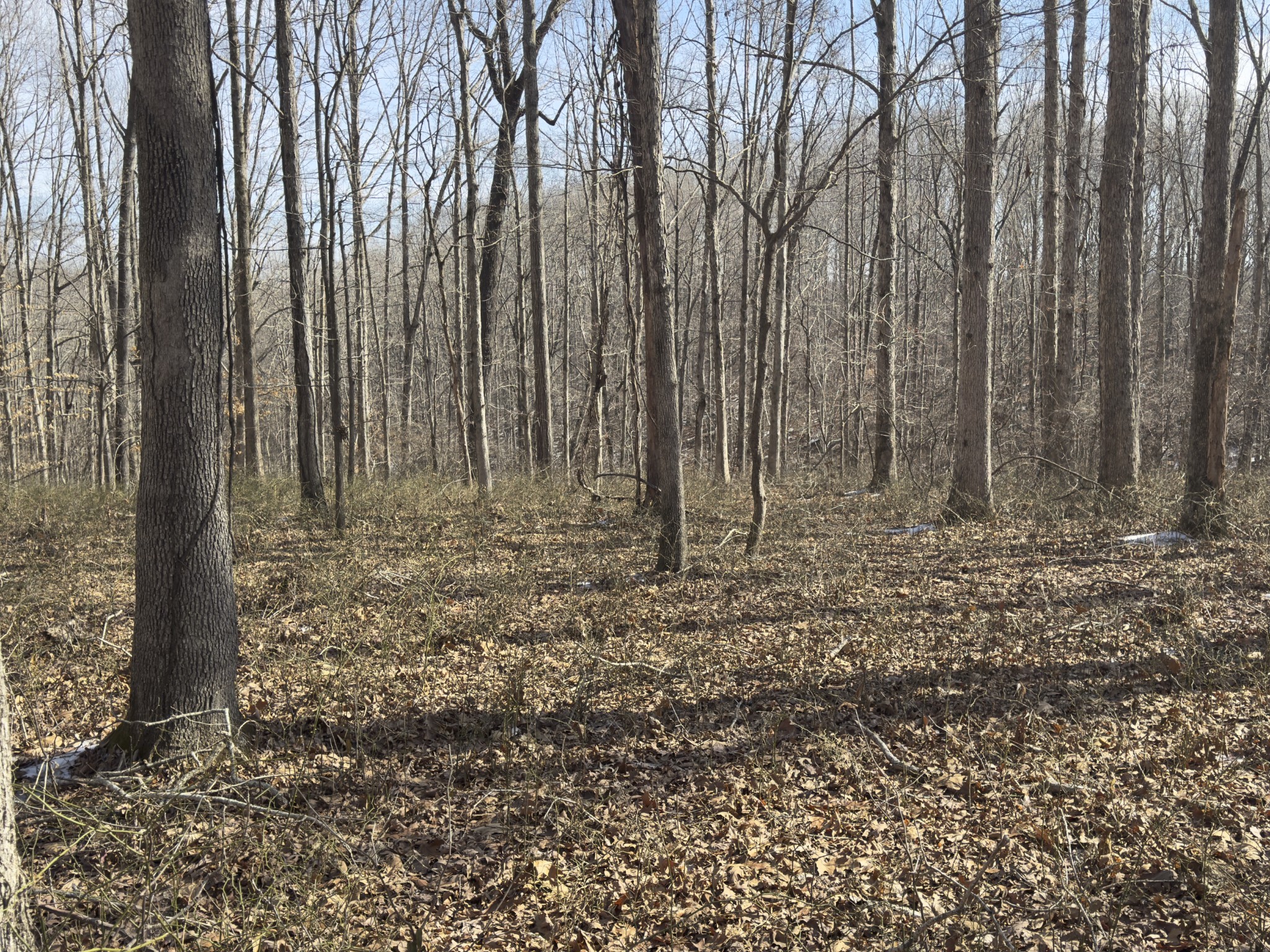 0 Three Rivers Drive