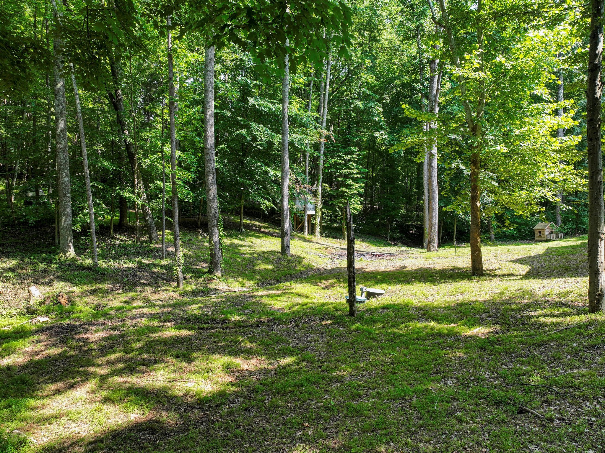 1288 Rogues Fork Rd