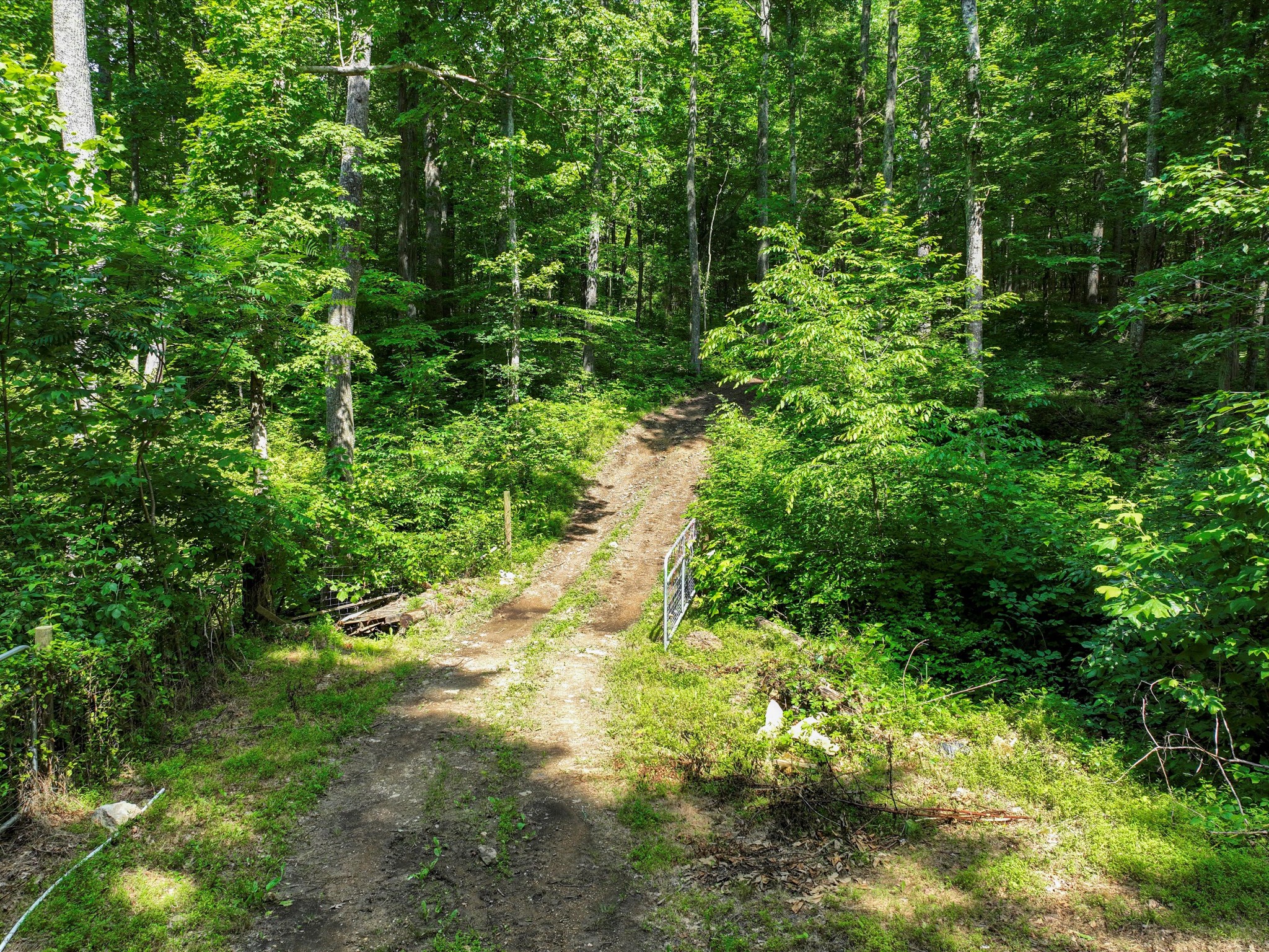 1288 Rogues Fork Rd