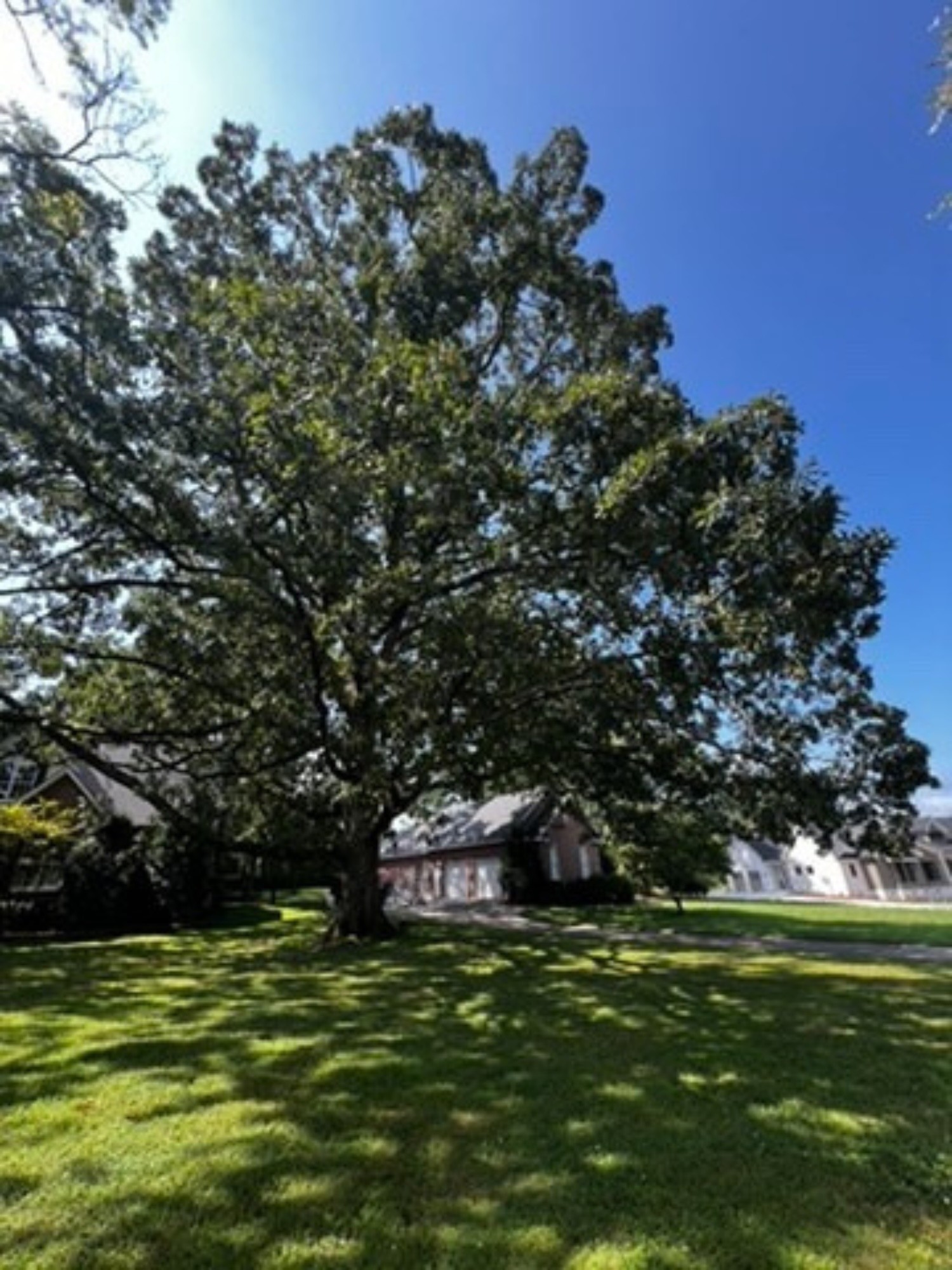 54 Foyer Dr