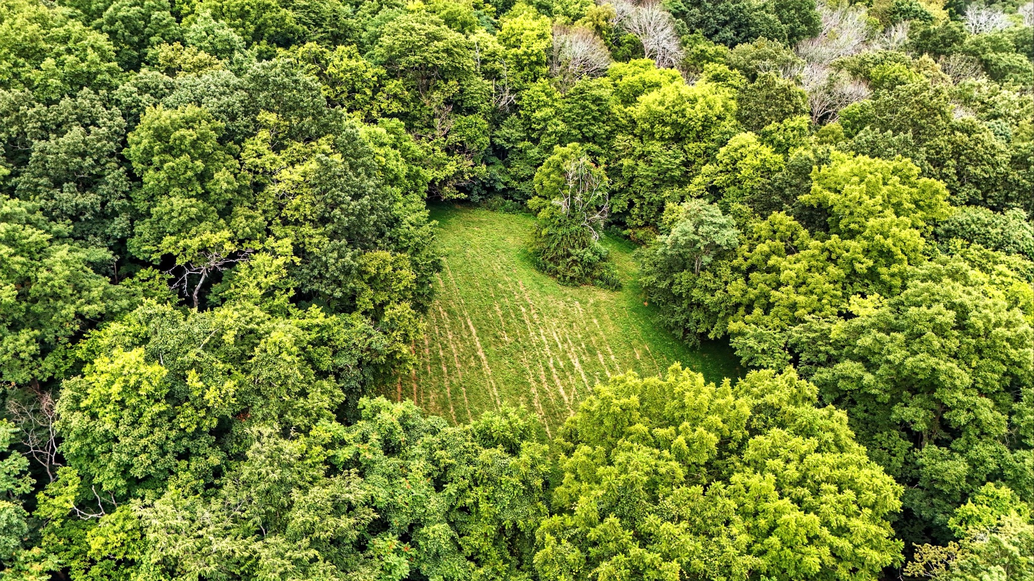 10515 Paw Paw Springs Rd