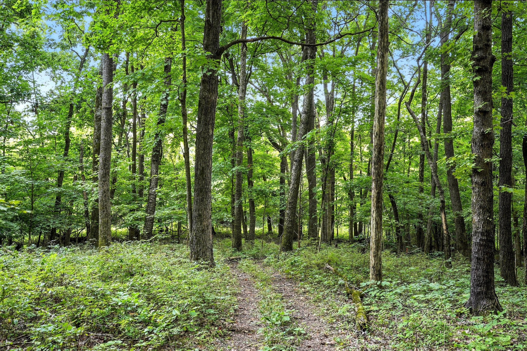 10515 Paw Paw Springs Rd