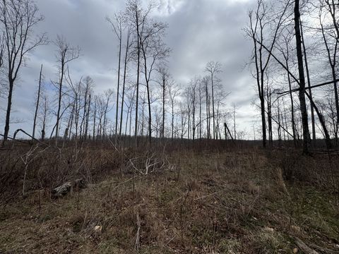 0 S Peninsula Edge Dr Smithville TN 37166