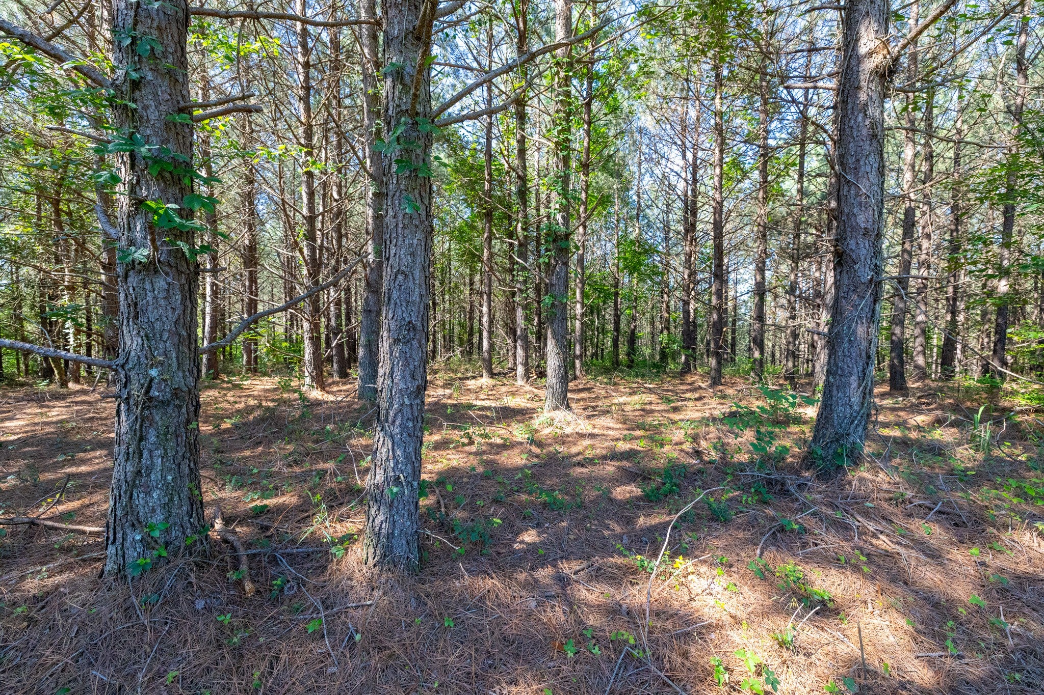0 White Oak Rd