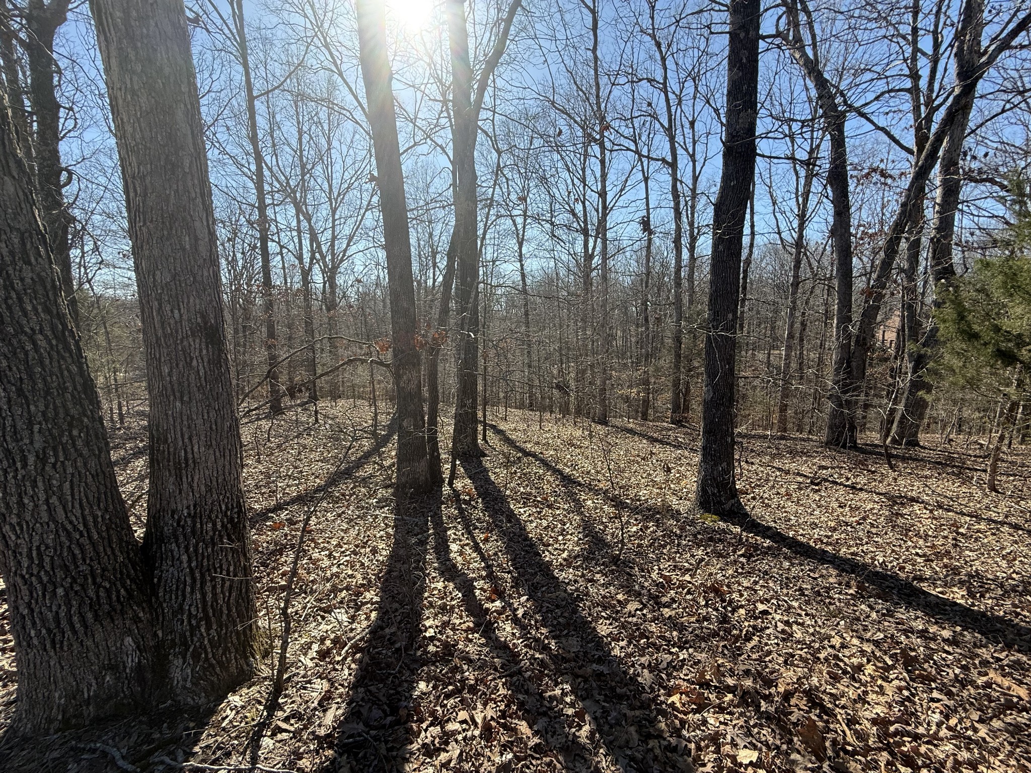 29 Backwoods Estates