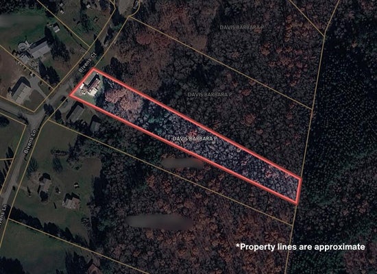 160 BIVENS CT, NIOTA, TN 37826 - Image 07e3f3e9cfa0933a4d3e8ec83c845be5/1228518859
