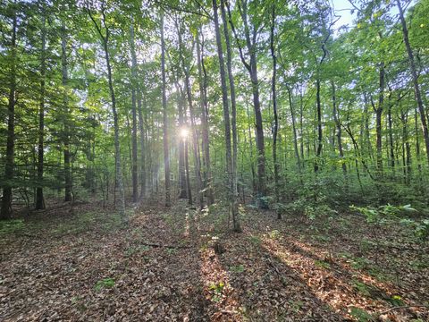 3 Woodfern Ln Coalmont TN 37313