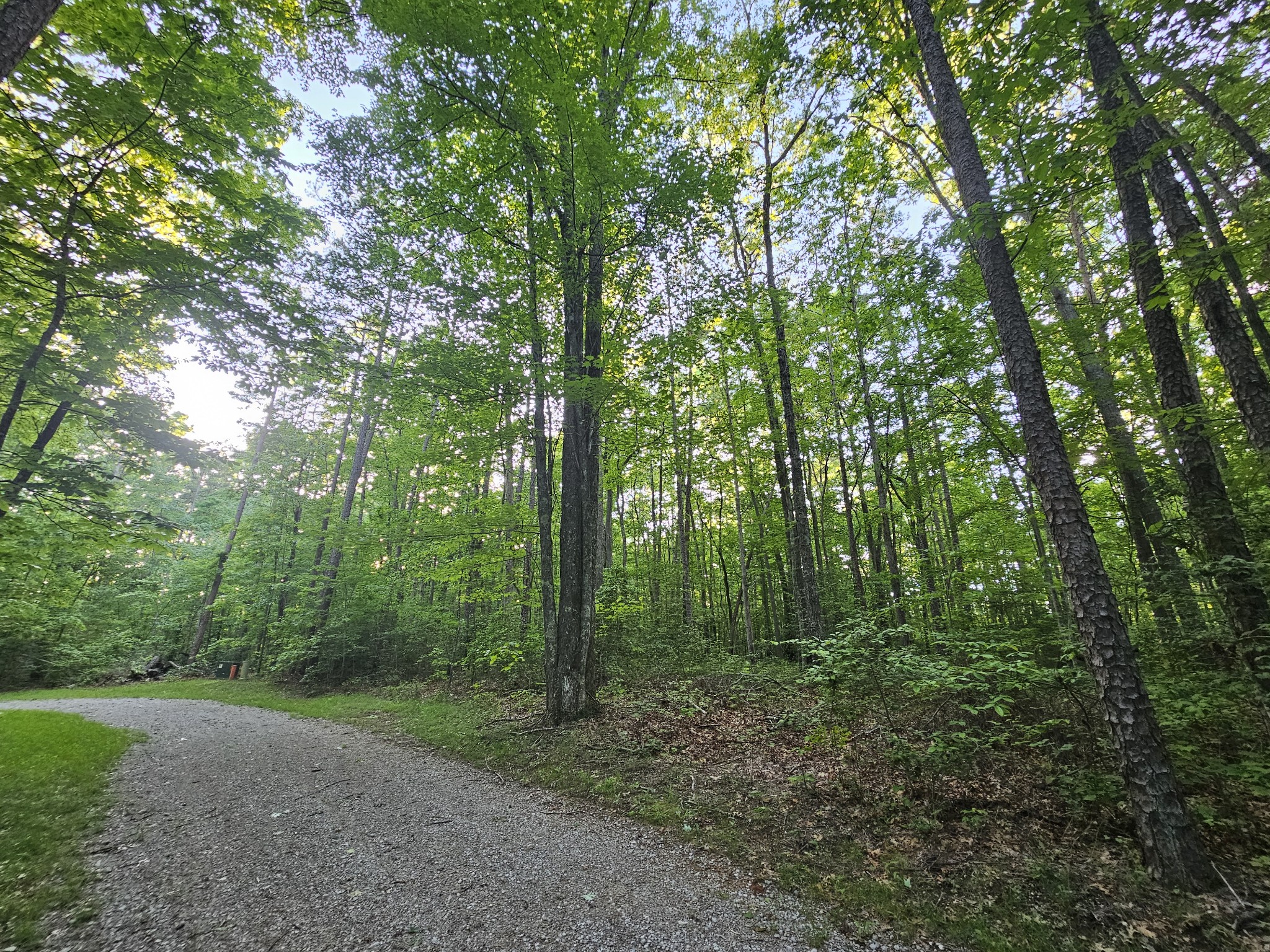 3 Woodfern Ln